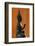 Buddha statue in profile, France-Godong-Framed Photographic Print