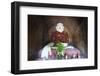 Buddha Statue in Temple, Bagan (Pagan), Myanmar (Burma), Asia-Christian Kober-Framed Photographic Print