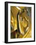 Buddha Statue Inside Joyesa Temple, Jongno-gu District, Seoul, South Korea-Gavin Hellier-Framed Photographic Print