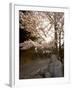 Buddha Statue, Ishiteji Temple, Ehime Prefecture, Japan-Christian Kober-Framed Photographic Print