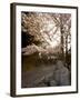 Buddha Statue, Ishiteji Temple, Ehime Prefecture, Japan-Christian Kober-Framed Photographic Print