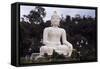 Buddha Statue on Mae Nam Khong River, Thaton, Thailand-null-Framed Stretched Canvas