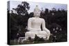 Buddha Statue on Mae Nam Khong River, Thaton, Thailand-null-Stretched Canvas