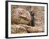 Buddha Statue, Parinirvana, Sri Lanka-Peter Adams-Framed Photographic Print