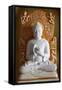 Buddha Statue, Paris, France, Europe-Godong-Framed Stretched Canvas