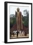 Buddha Statue, Sri Lanka, Maligawila-null-Framed Giclee Print