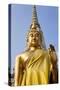 Buddha Statue, Temple of the Dawn (Wat Arun) in Bangkok Thailand-Peter Adams-Stretched Canvas