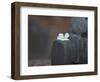 Buddha Statue, Temples of Ayutthaya Thailand-Russell Young-Framed Photographic Print