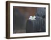 Buddha Statue, Temples of Ayutthaya Thailand-Russell Young-Framed Photographic Print