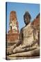 Buddha Statue, Wat Mahatat, Ayutthaya Historical Park, Ayutthaya, Thailand, Southeast Asia, Asia-null-Stretched Canvas