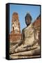 Buddha Statue, Wat Mahatat, Ayutthaya Historical Park, Ayutthaya, Thailand, Southeast Asia, Asia-null-Framed Stretched Canvas