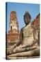 Buddha Statue, Wat Mahatat, Ayutthaya Historical Park, Ayutthaya, Thailand, Southeast Asia, Asia-null-Stretched Canvas