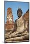 Buddha Statue, Wat Mahatat, Ayutthaya Historical Park, Ayutthaya, Thailand, Southeast Asia, Asia-null-Mounted Photographic Print
