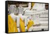 Buddha Statue, Wat Phra Chao Phya-Thai, Ayutthaya, Thailand-Cindy Miller Hopkins-Framed Stretched Canvas