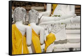 Buddha Statue, Wat Phra Chao Phya-Thai, Ayutthaya, Thailand-Cindy Miller Hopkins-Framed Stretched Canvas