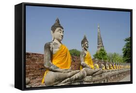 Buddha Statue, Wat Phra Chao Phya-Thai, Ayutthaya, Thailand-Cindy Miller Hopkins-Framed Stretched Canvas