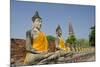 Buddha Statue, Wat Phra Chao Phya-Thai, Ayutthaya, Thailand-Cindy Miller Hopkins-Mounted Photographic Print