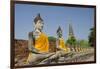 Buddha Statue, Wat Phra Chao Phya-Thai, Ayutthaya, Thailand-Cindy Miller Hopkins-Framed Photographic Print