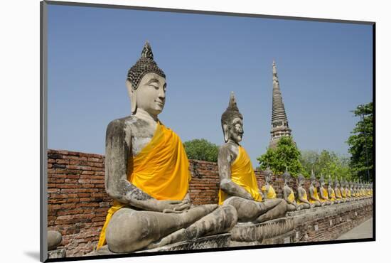Buddha Statue, Wat Phra Chao Phya-Thai, Ayutthaya, Thailand-Cindy Miller Hopkins-Mounted Photographic Print