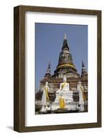 Buddha Statue, Wat Phra Chao Phya-Thai, Ayutthaya, Thailand-Cindy Miller Hopkins-Framed Photographic Print