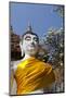 Buddha Statue, Wat Phra Chao Phya-Thai, Ayutthaya, Thailand-Cindy Miller Hopkins-Mounted Photographic Print