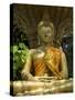 Buddha Statue, Wat Si Muang, Vientiane, Laos, Indochina, Southeast Asia, Asia-Richard Maschmeyer-Stretched Canvas