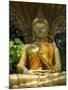 Buddha Statue, Wat Si Muang, Vientiane, Laos, Indochina, Southeast Asia, Asia-Richard Maschmeyer-Mounted Photographic Print