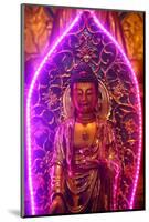 Buddha statue with neon light, Chua Thien Hung Buddhist Pagoda, Ho Chi Minh City, Vietnam, Indochin-null-Mounted Photographic Print