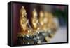 Buddha Statue Wrapped in Cellophane, Paris, France, Europe-Godong-Framed Stretched Canvas