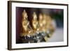 Buddha Statue Wrapped in Cellophane, Paris, France, Europe-Godong-Framed Photographic Print