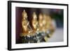 Buddha Statue Wrapped in Cellophane, Paris, France, Europe-Godong-Framed Photographic Print