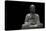 Buddha Statue-videowokart-Stretched Canvas