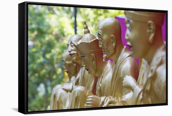 Buddha Statues at Ten Thousand Buddhas Monastery, Shatin, New Territories, Hong Kong, China, Asia-Ian Trower-Framed Stretched Canvas