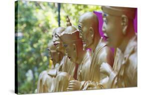 Buddha Statues at Ten Thousand Buddhas Monastery, Shatin, New Territories, Hong Kong, China, Asia-Ian Trower-Stretched Canvas