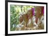 Buddha Statues at Ten Thousand Buddhas Monastery, Shatin, New Territories, Hong Kong, China, Asia-Ian Trower-Framed Photographic Print