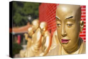 Buddha Statues at Ten Thousand Buddhas Monastery, Shatin, New Territories, Hong Kong, China, Asia-Ian Trower-Stretched Canvas