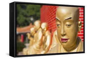 Buddha Statues at Ten Thousand Buddhas Monastery, Shatin, New Territories, Hong Kong, China, Asia-Ian Trower-Framed Stretched Canvas