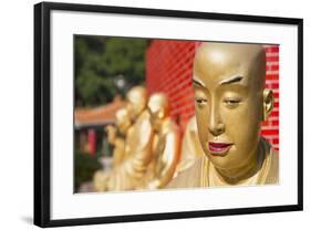 Buddha Statues at Ten Thousand Buddhas Monastery, Shatin, New Territories, Hong Kong, China, Asia-Ian Trower-Framed Photographic Print