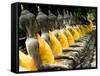 Buddha Statues, Ayuthaya, Thailand, Southeast Asia-Porteous Rod-Framed Stretched Canvas