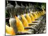 Buddha Statues, Ayuthaya, Thailand, Southeast Asia-Porteous Rod-Mounted Photographic Print