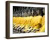 Buddha Statues, Ayuthaya, Thailand, Southeast Asia-Porteous Rod-Framed Photographic Print