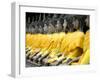 Buddha Statues, Ayuthaya, Thailand, Southeast Asia-Porteous Rod-Framed Photographic Print