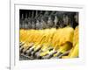 Buddha Statues, Ayuthaya, Thailand, Southeast Asia-Porteous Rod-Framed Photographic Print