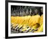 Buddha Statues, Ayuthaya, Thailand, Southeast Asia-Porteous Rod-Framed Photographic Print