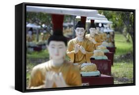 Buddha Statues Each Planted Alongside a Bo Tree in Maha Bodhi Ta Htaung, Myanmar (Burma)-Annie Owen-Framed Stretched Canvas