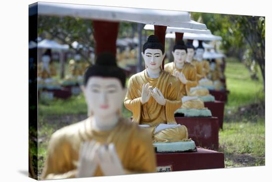 Buddha Statues Each Planted Alongside a Bo Tree in Maha Bodhi Ta Htaung, Myanmar (Burma)-Annie Owen-Stretched Canvas