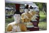 Buddha Statues Each Planted Alongside a Bo Tree in Maha Bodhi Ta Htaung, Myanmar (Burma)-Annie Owen-Mounted Photographic Print