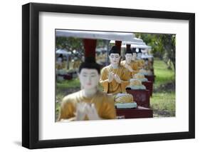Buddha Statues Each Planted Alongside a Bo Tree in Maha Bodhi Ta Htaung, Myanmar (Burma)-Annie Owen-Framed Photographic Print