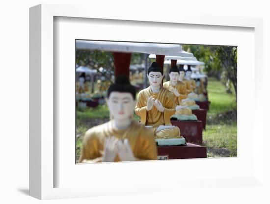 Buddha Statues Each Planted Alongside a Bo Tree in Maha Bodhi Ta Htaung, Myanmar (Burma)-Annie Owen-Framed Photographic Print