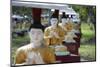 Buddha Statues Each Planted Alongside a Bo Tree in Maha Bodhi Ta Htaung, Myanmar (Burma)-Annie Owen-Mounted Photographic Print